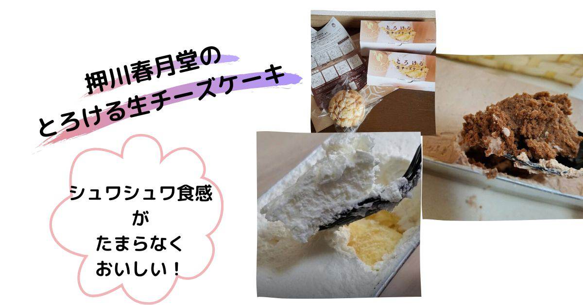 ふるさと納税感想 川南町の押川春月堂とろける生チーズケーキはうますぎる